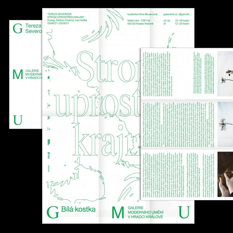 Visual identity for GMU